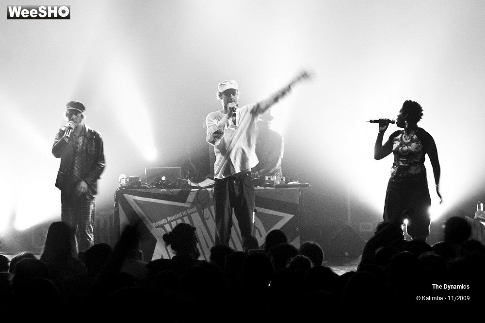 30/47 photos du spectacle The Dynamics