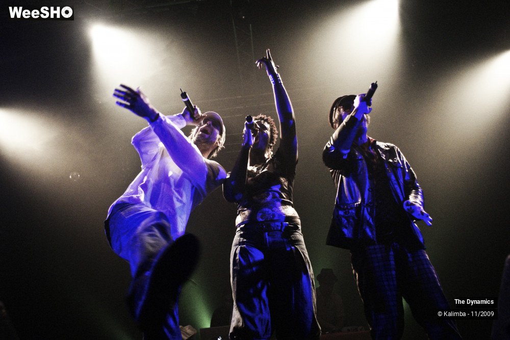 31/47 photos du spectacle The Dynamics