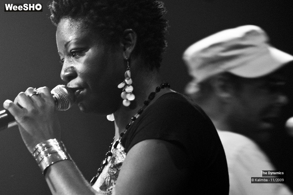 32/47 photos du spectacle The Dynamics