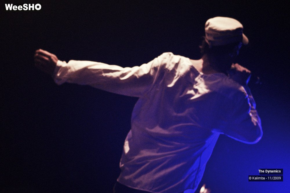 33/47 photos du spectacle The Dynamics