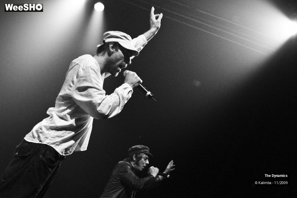 34/47 photos du spectacle The Dynamics