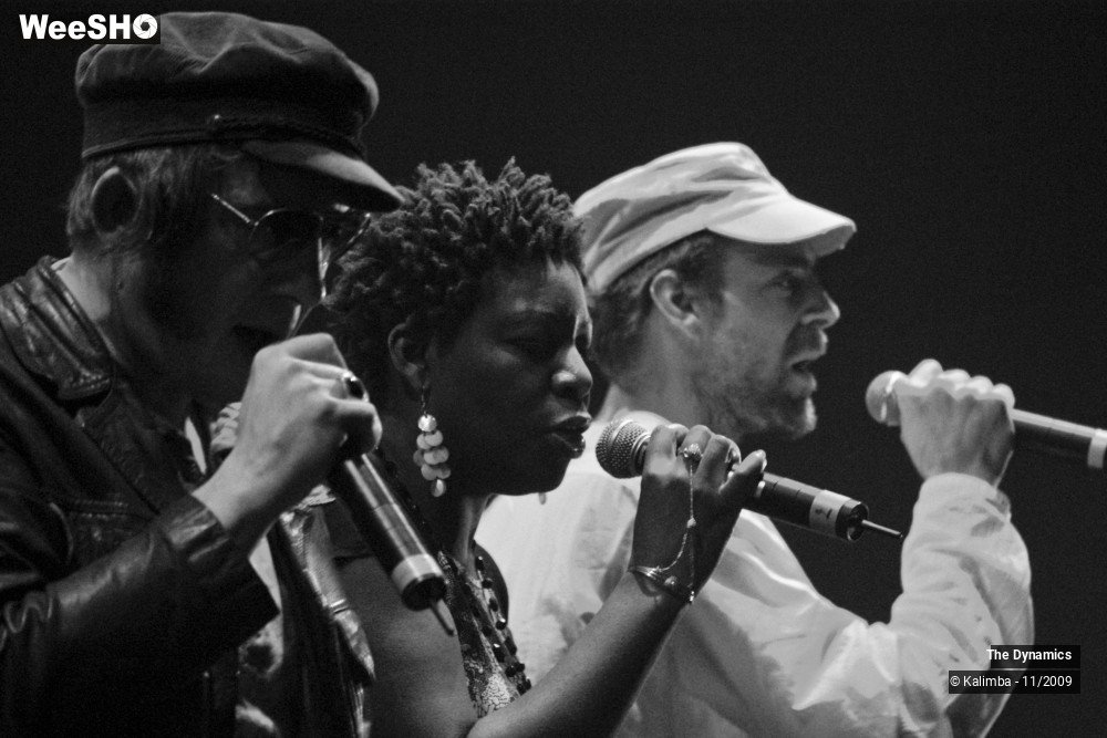 35/47 photos du spectacle The Dynamics