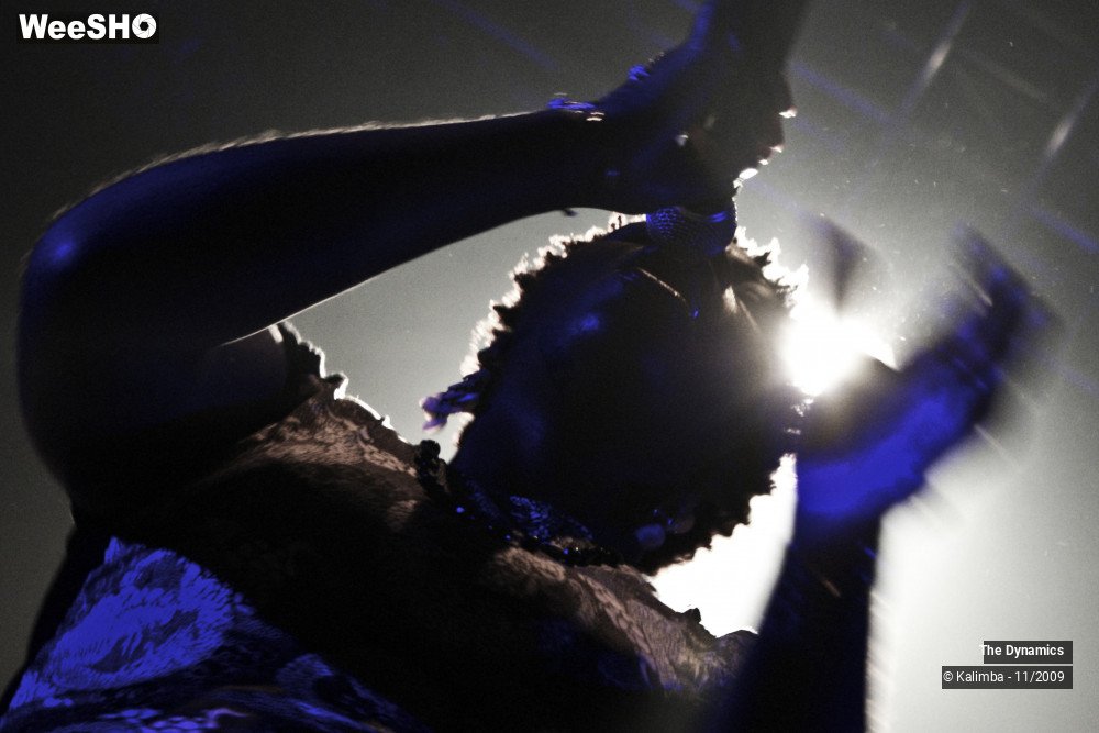 36/47 photos du spectacle The Dynamics