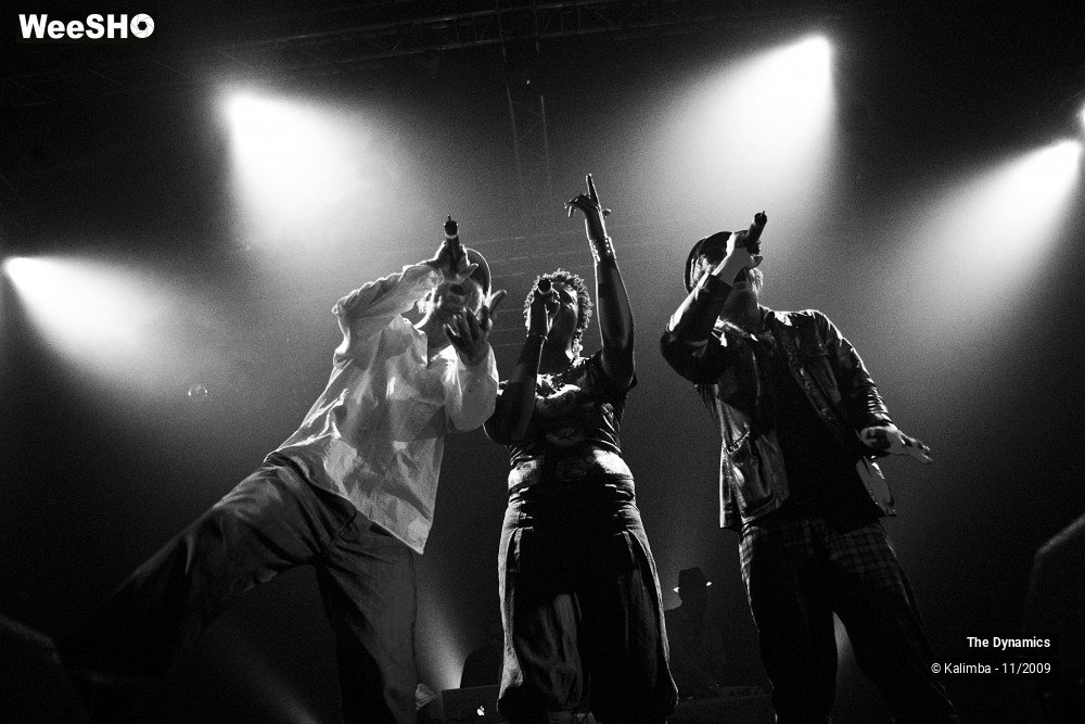 39/47 photos du spectacle The Dynamics