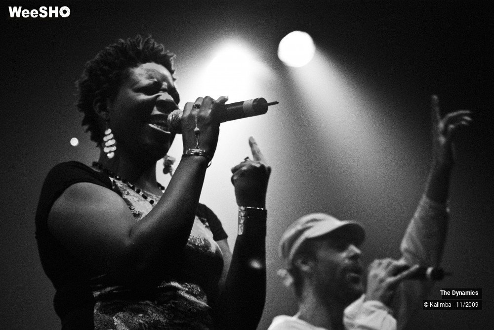 44/47 photos du spectacle The Dynamics
