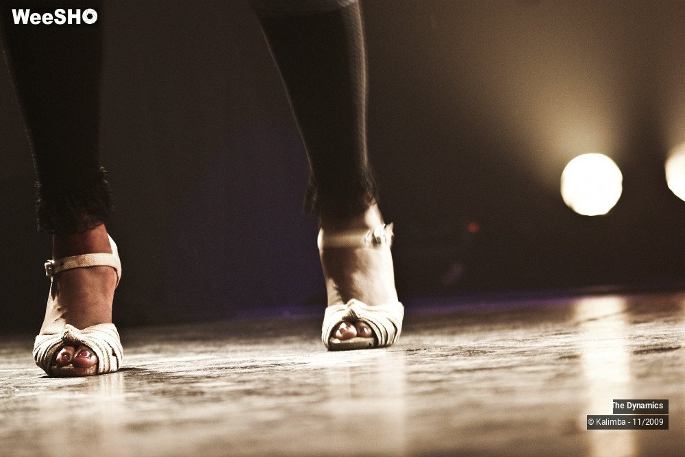 45/47 photos du spectacle The Dynamics