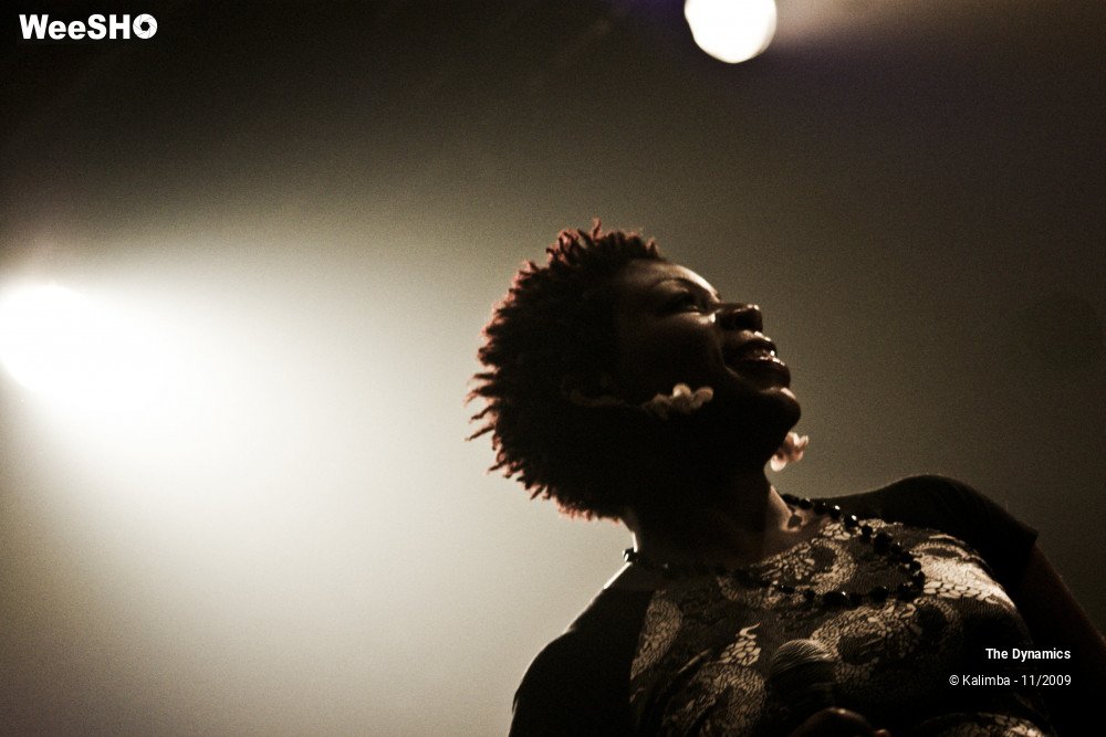 46/47 photos du spectacle The Dynamics