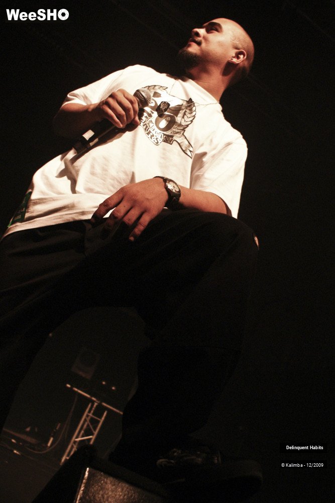 5/37 photos du spectacle Delinquent Habits