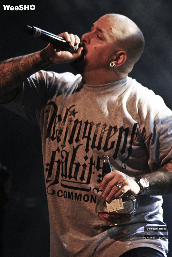 6/37 photos du spectacle Delinquent Habits