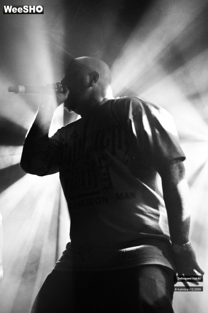 8/37 photos du spectacle Delinquent Habits