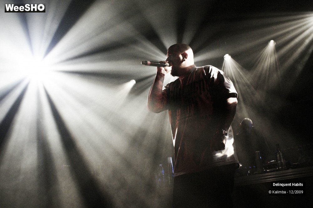 17/37 photos du spectacle Delinquent Habits