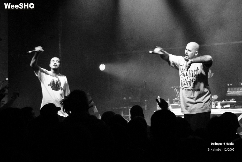 18/37 photos du spectacle Delinquent Habits