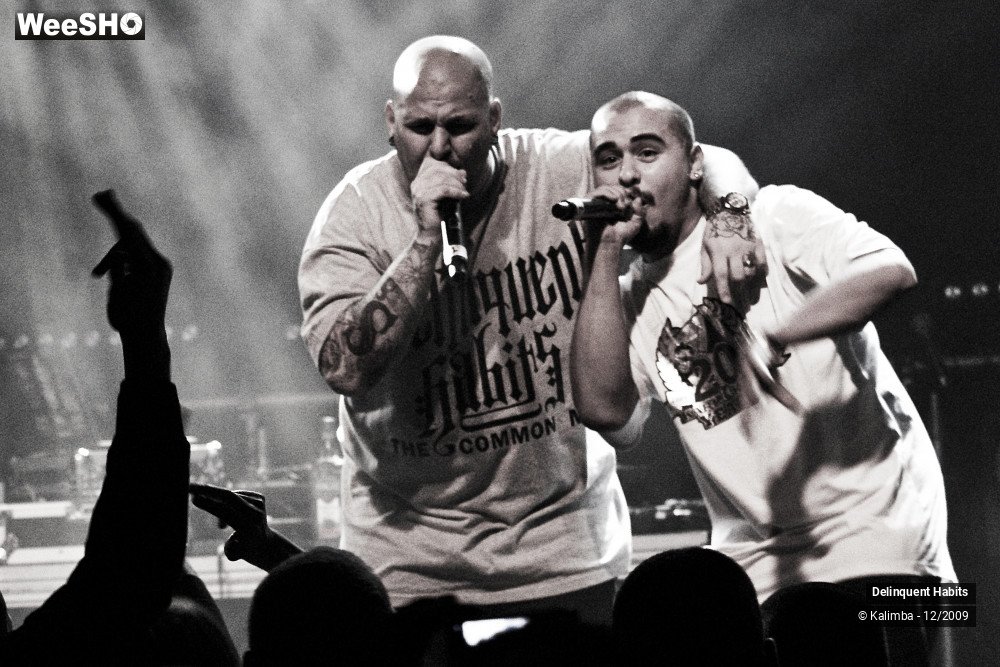 21/37 photos du spectacle Delinquent Habits