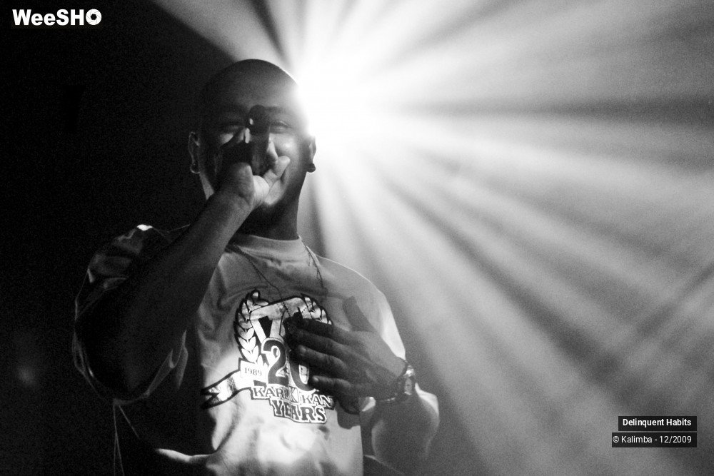 25/37 photos du spectacle Delinquent Habits