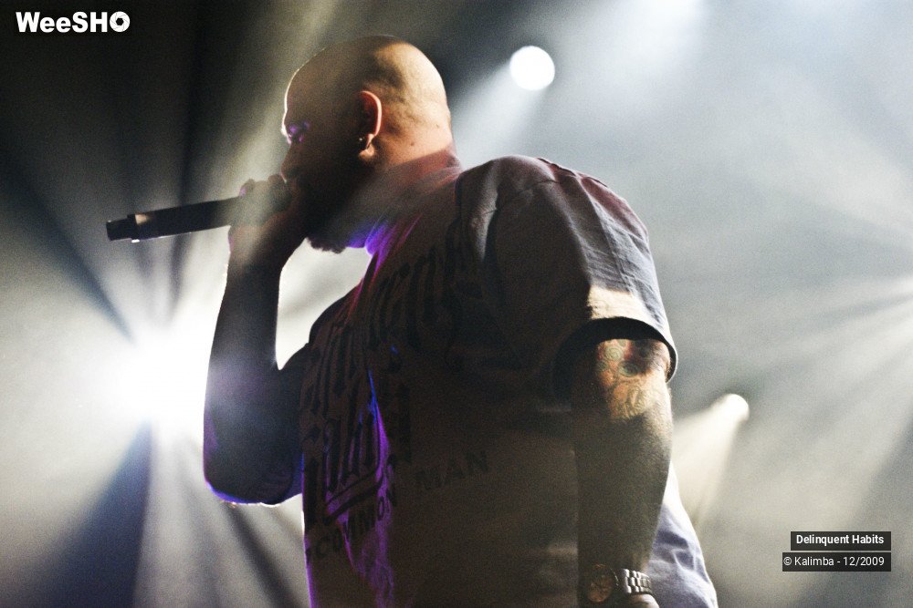 28/37 photos du spectacle Delinquent Habits