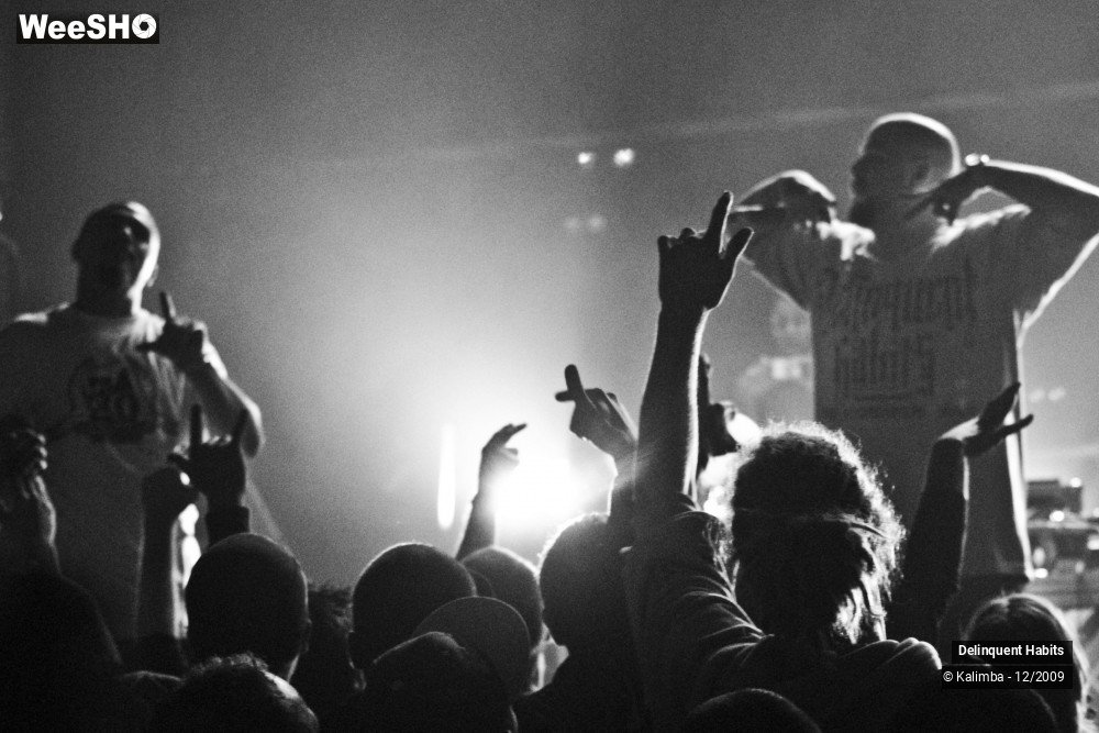 31/37 photos du spectacle Delinquent Habits