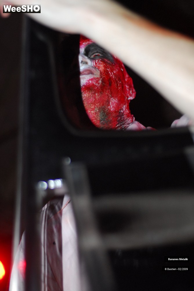 6/25 photos du spectacle Bananes Metalik