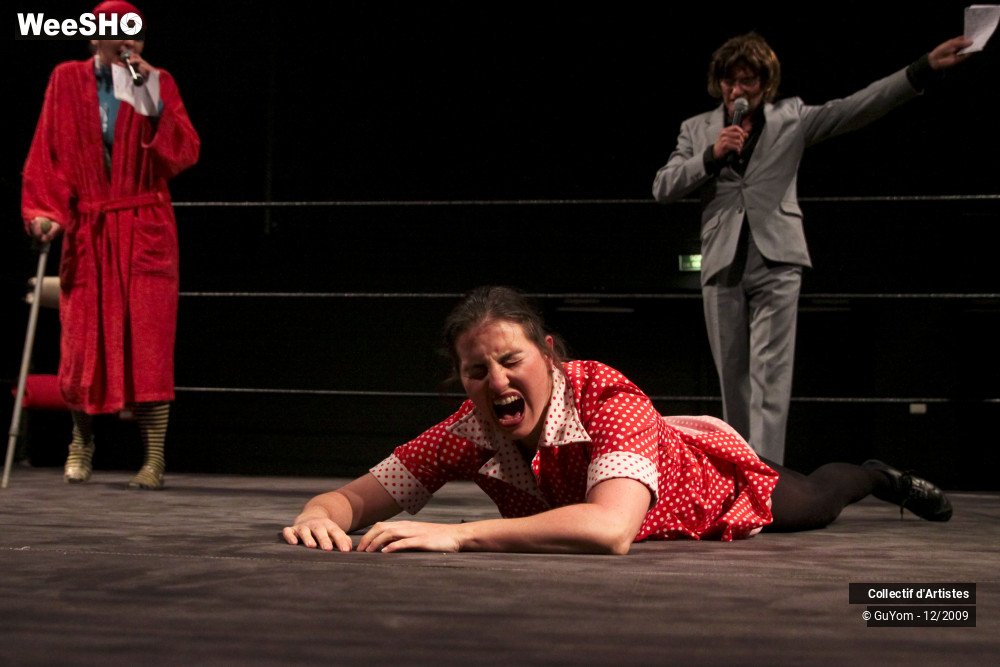 28/50 photos du spectacle Catch et Comédie