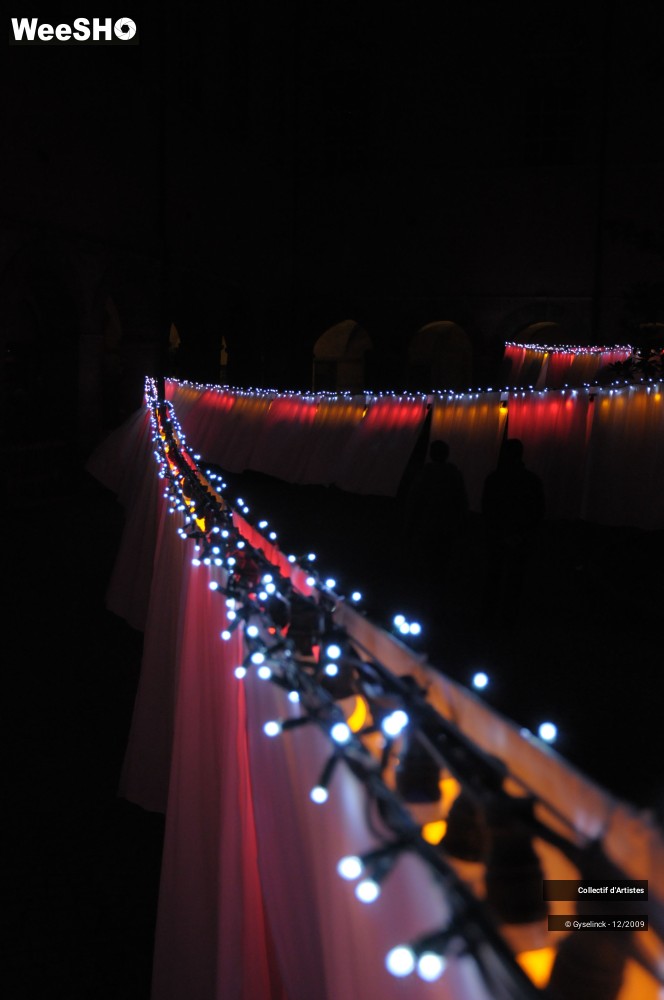 18/36 photos du spectacle Fête des Lumières 2