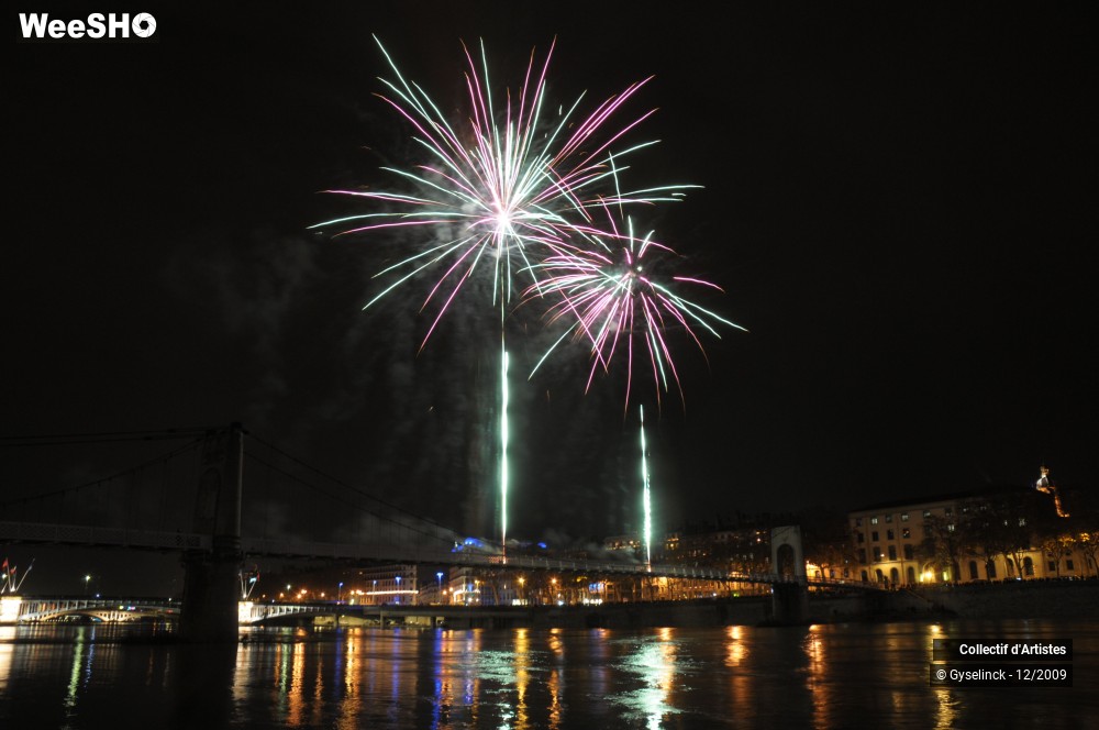 33/36 photos du spectacle Fête des Lumières 2