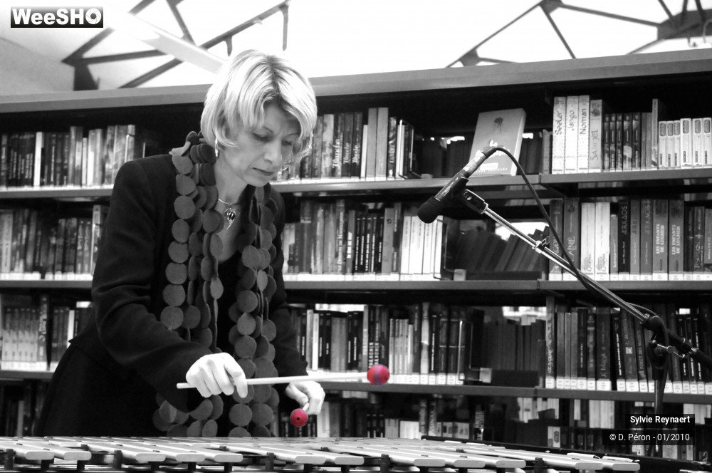 21/29 photos du spectacle Sylvie Reynaert Quartet