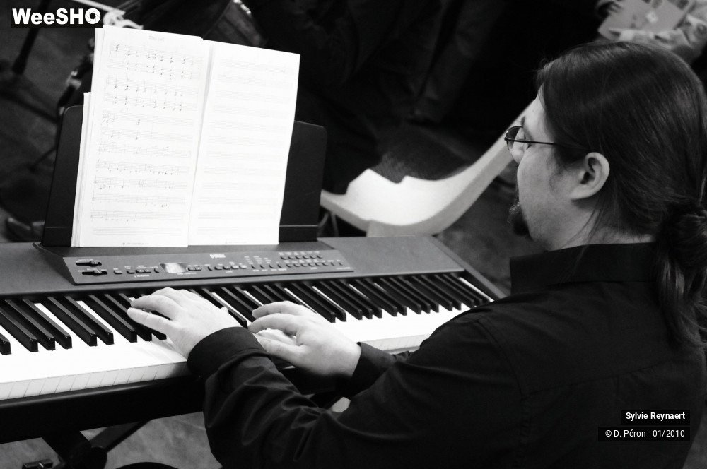 22/29 photos du spectacle Sylvie Reynaert Quartet