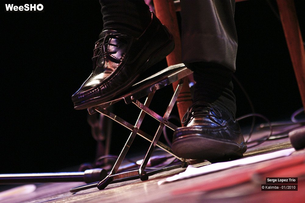 28/35 photos du spectacle Serge Lopez Trio