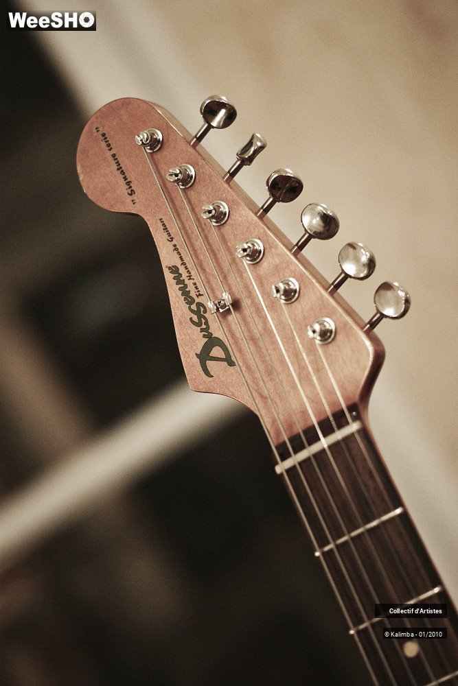 1/35 photos du spectacle Exposition Luthier