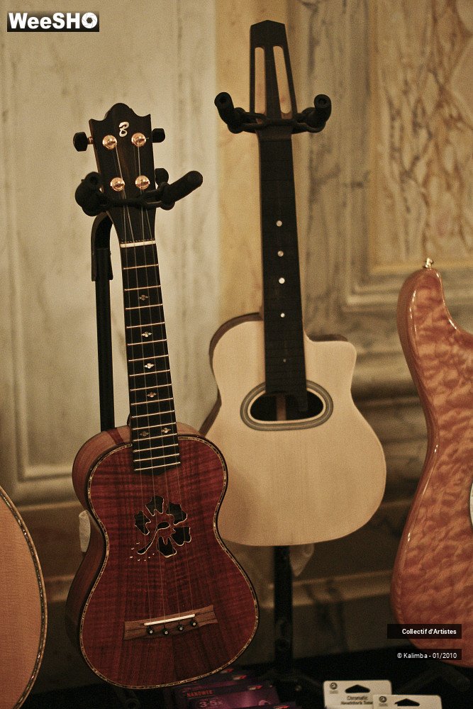 5/35 photos du spectacle Exposition Luthier