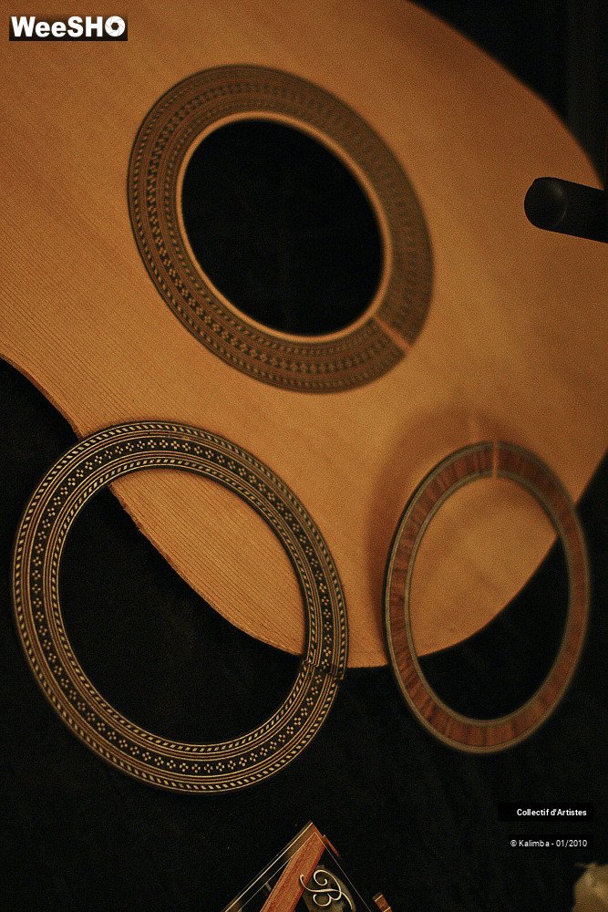 7/35 photos du spectacle Exposition Luthier