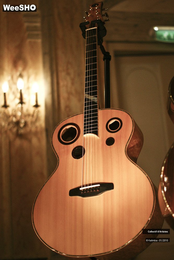 9/35 photos du spectacle Exposition Luthier