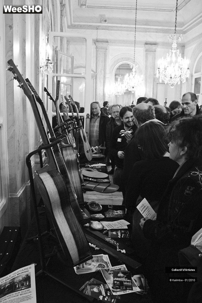10/35 photos du spectacle Exposition Luthier