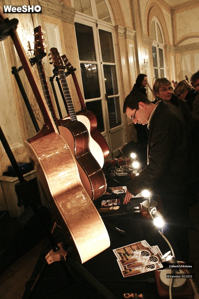 11/35 photos du spectacle Exposition Luthier