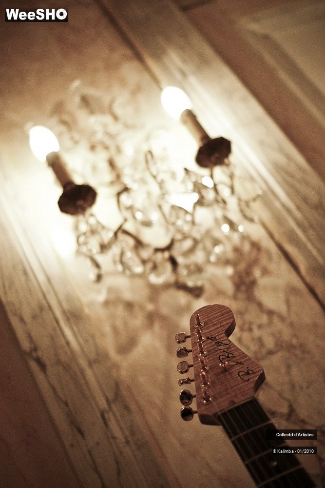 12/35 photos du spectacle Exposition Luthier