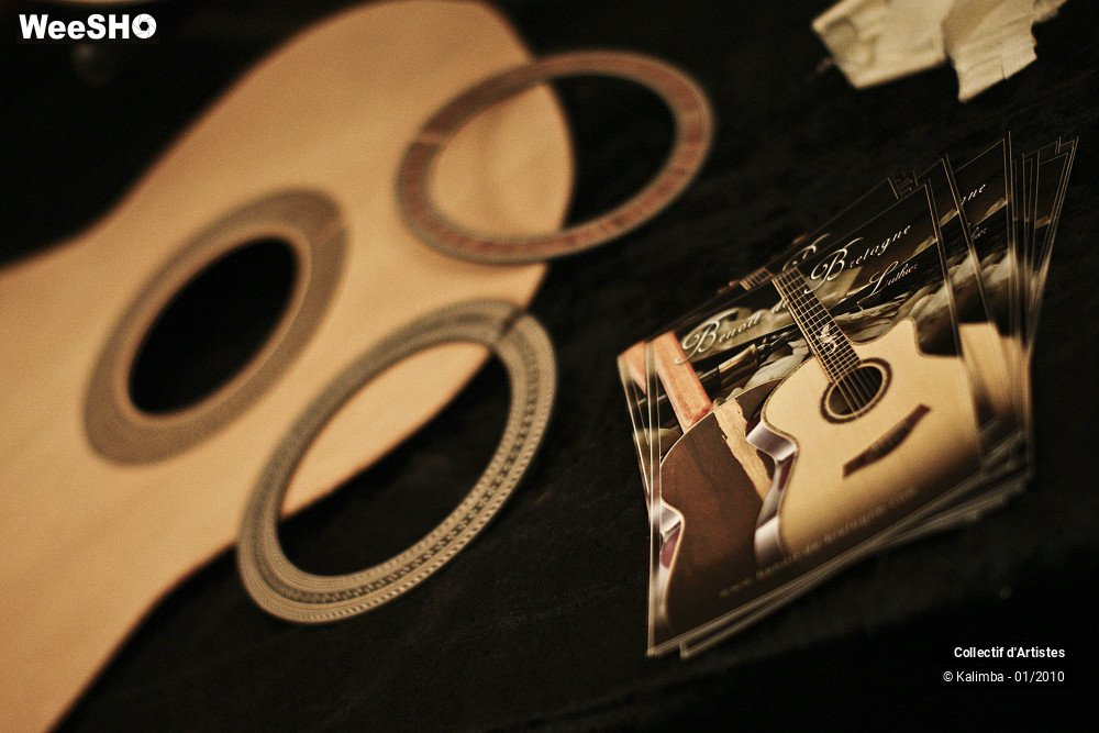 14/35 photos du spectacle Exposition Luthier