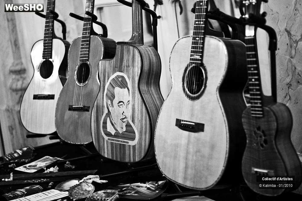 15/35 photos du spectacle Exposition Luthier