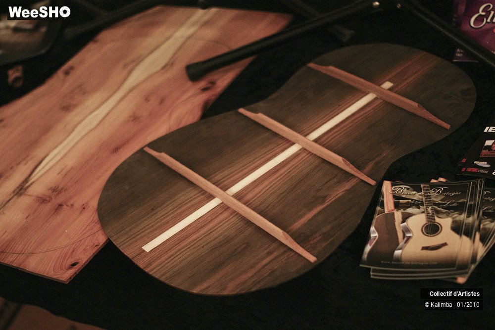 17/35 photos du spectacle Exposition Luthier