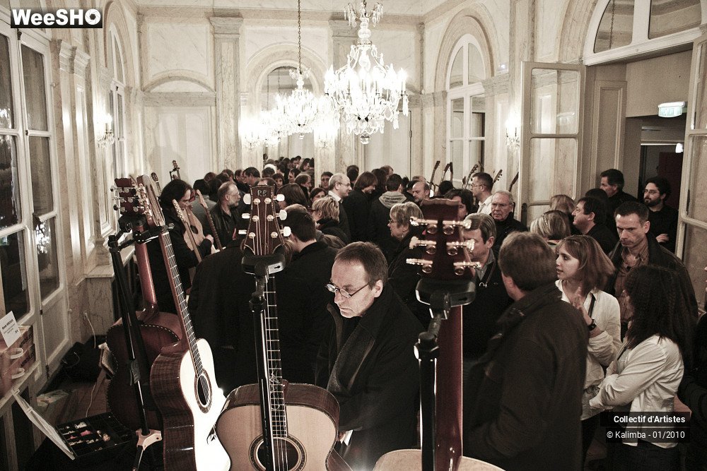 18/35 photos du spectacle Exposition Luthier