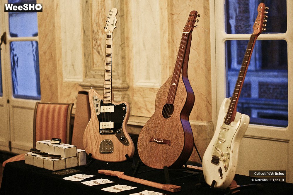 20/35 photos du spectacle Exposition Luthier