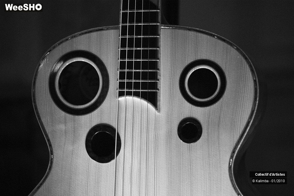 25/35 photos du spectacle Exposition Luthier