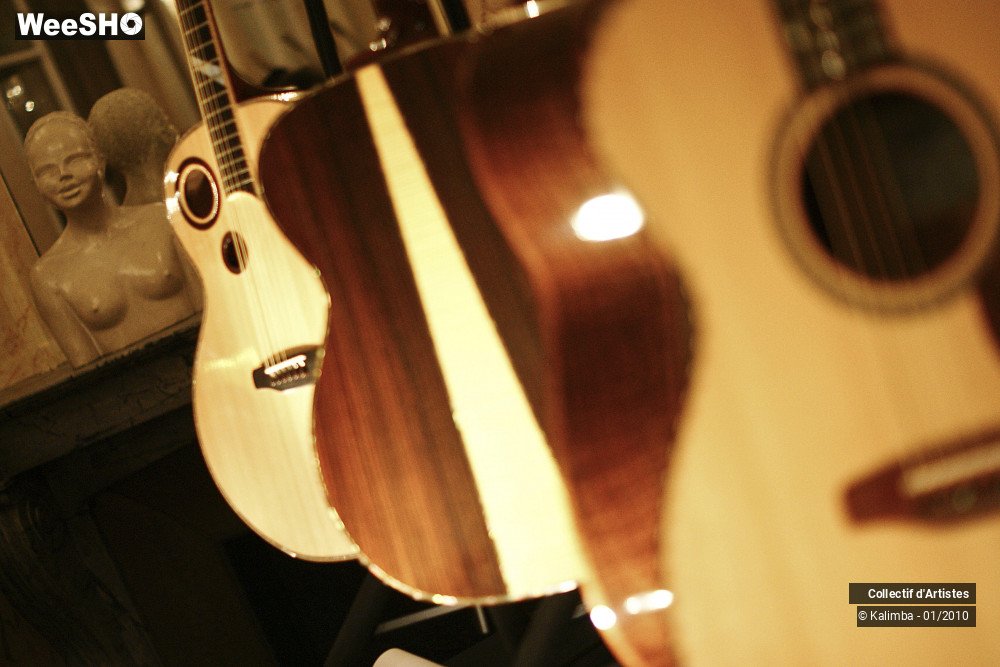 26/35 photos du spectacle Exposition Luthier