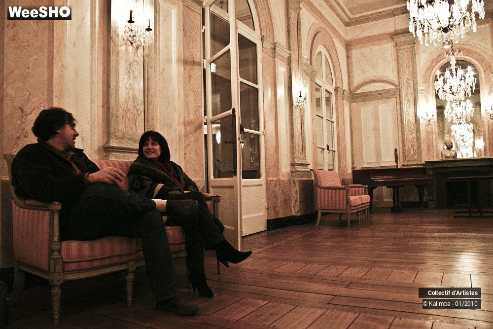 28/35 photos du spectacle Exposition Luthier