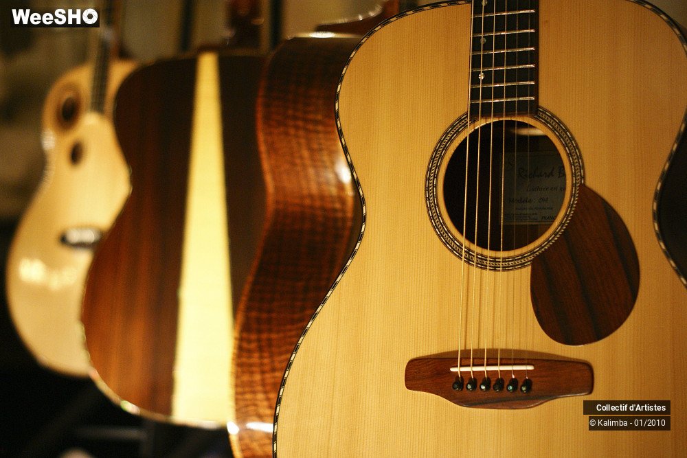 29/35 photos du spectacle Exposition Luthier