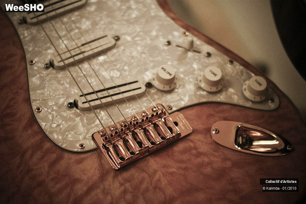 31/35 photos du spectacle Exposition Luthier