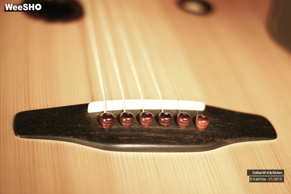 33/35 photos du spectacle Exposition Luthier