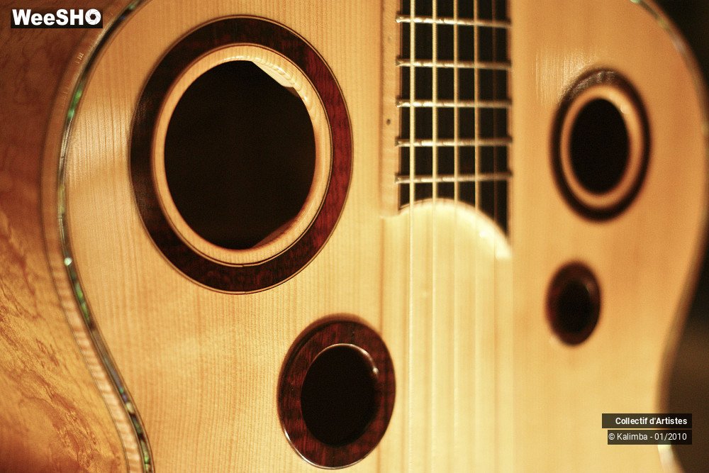 34/35 photos du spectacle Exposition Luthier