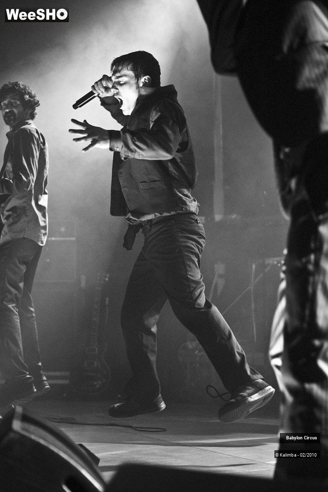 6/44 photos du spectacle Babylon Circus
