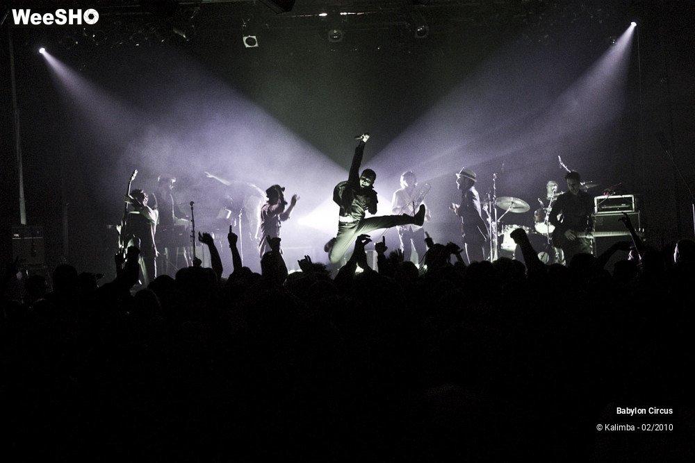 39/44 photos du spectacle Babylon Circus