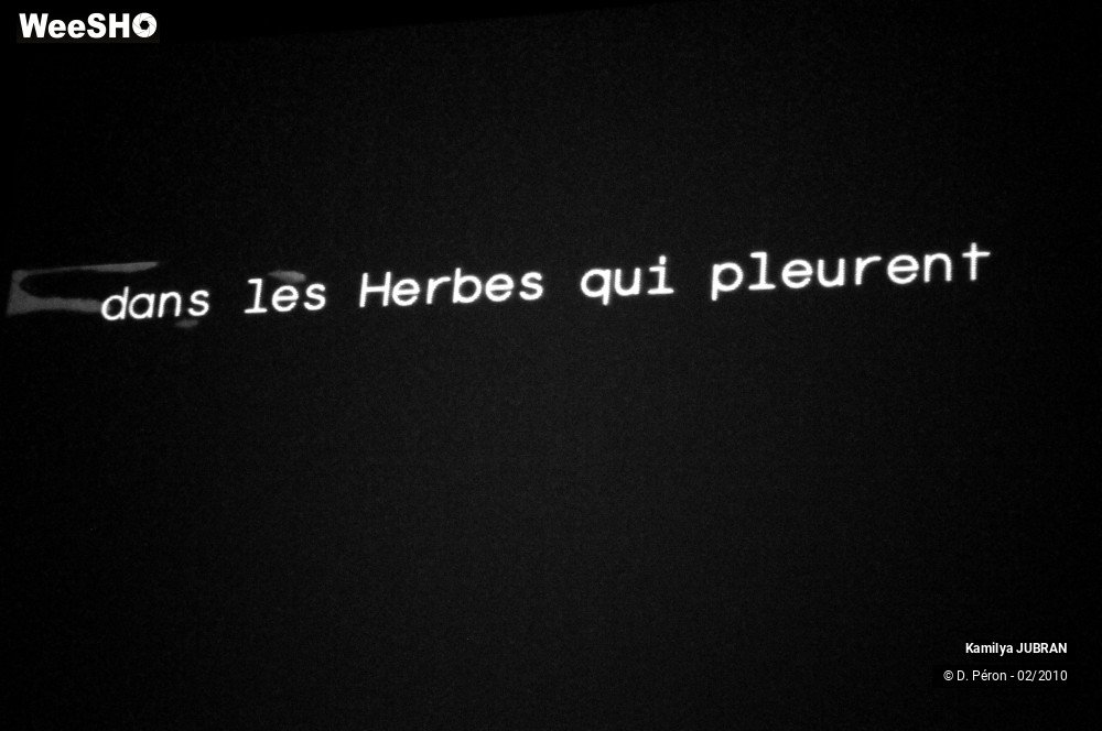 13/13 photos du spectacle Kamilya JUBRAN