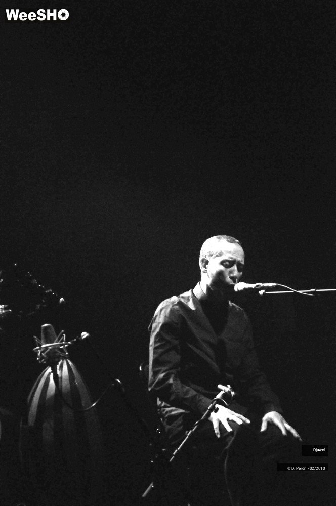 1/26 photos du spectacle Djuwel